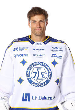 Leksands Mantas Armalis