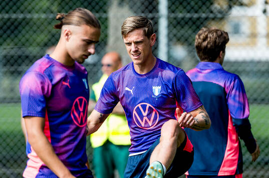 Søren Rieks of Malmö FF