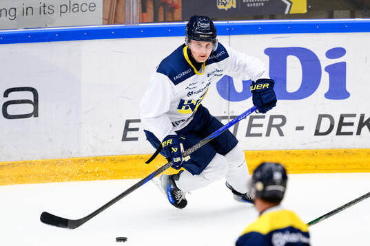 Henrik Borgström