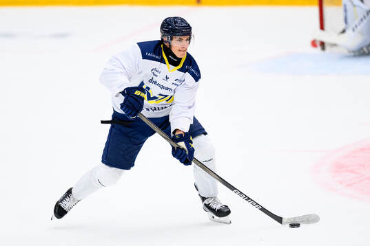 Herman Hansson