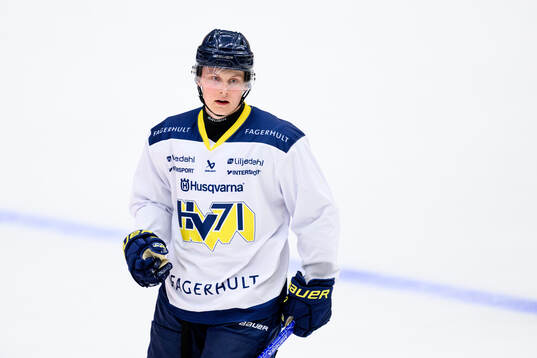Hugo Pettersson