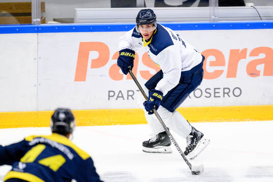 Herman Hansson