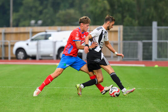 Helsingborgs Daniel Bergman och Herrestads Armend Shillova