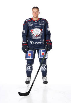 Linköpings Mattias Hävelid
