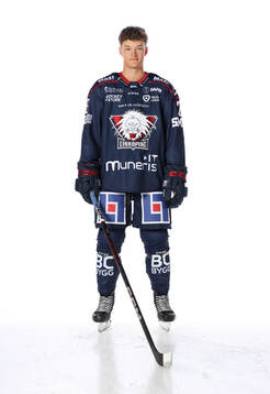 Linköpings Fabian Wagner