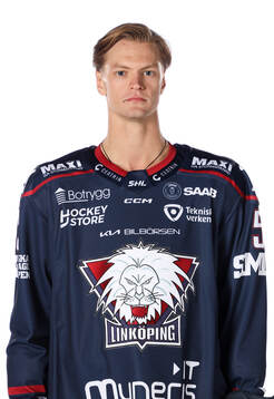 Linköpings Adam Hofbauer