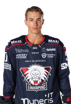 Linköpings Arvid Westlin
