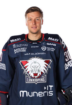 Linköpings Christian Heljanko