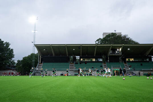 Hammarbys spelare
