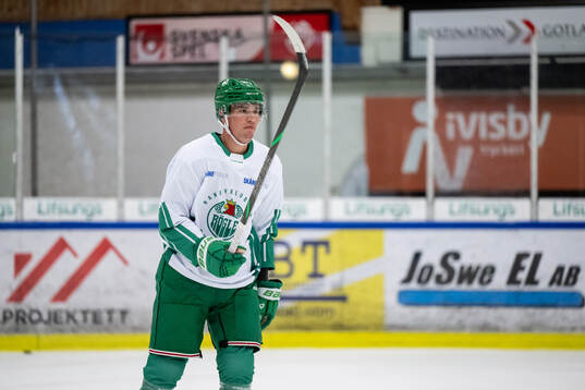 Albin Sundsvik