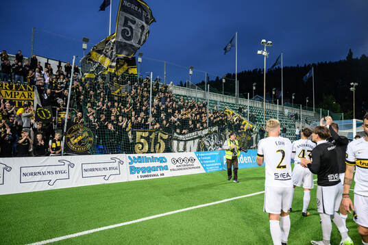 AIK jublar mot publiken