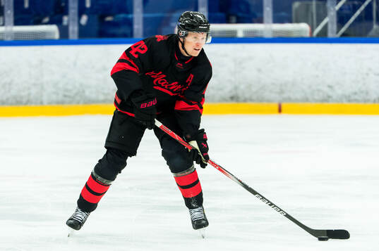 Malmö Redhawks Robin Salo