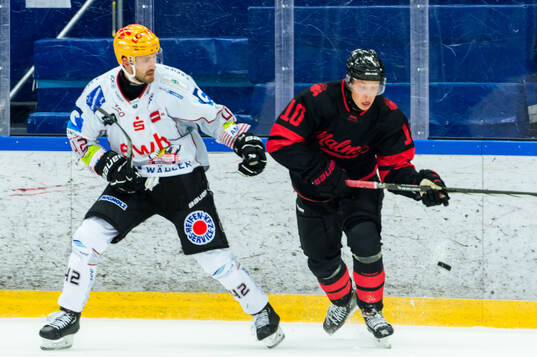 Fischtown Penguins Matthew Abt och Malmö Redhawks William