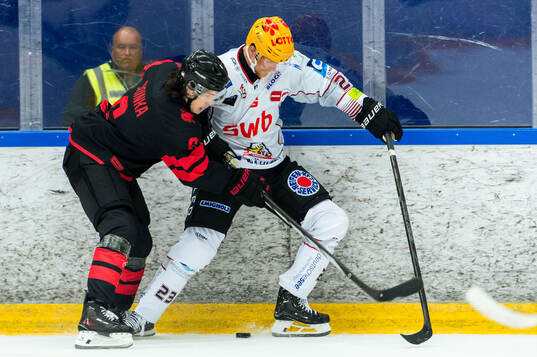 Malmö Redhawks Dominik Badinka och Fischtown Penguins Max