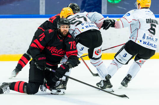 Malmö Redhawks Robin Hanzl och Fischtown Penguins Alex