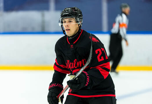 Malmö Redhawks Henrik Haapala