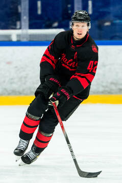 Malmö Redhawks Robin Salo