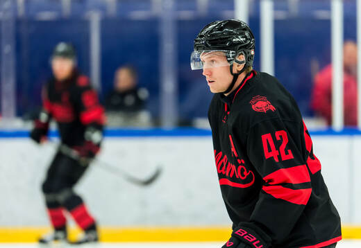Malmö Redhawks Robin Salo