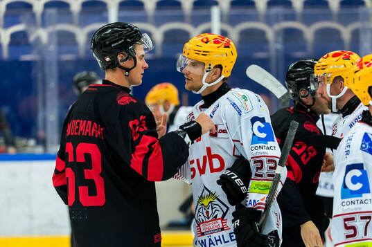Malmö Redhawks Fredrik Händemark och Fischtown Penguins