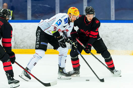 Fischtown Penguins Jan Urbas och Malmö Redhawks William