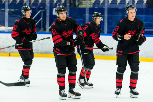 Malmö Redhawks spelare deppar