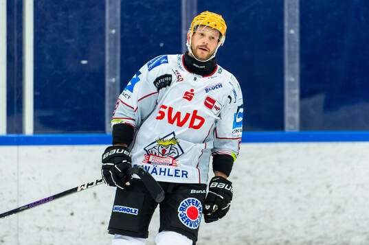 Fischtown Penguins Jan Urbas