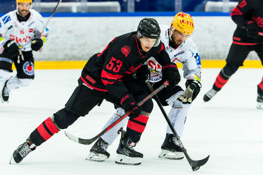 Malmö Redhawks Albert Sjöberg och Fischtown Penguins Nino