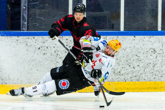 Fischtown Penguins Jan Urbas och Malmö Redhawks Teemu