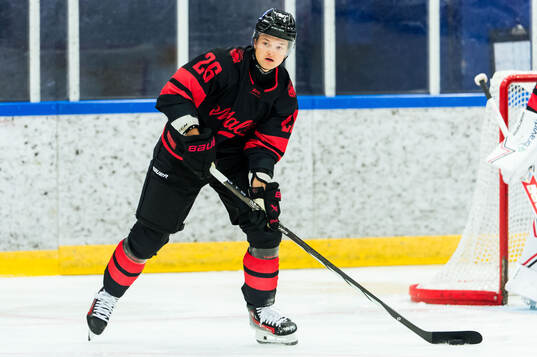 Malmö Redhawks Teemu Kivihalme
