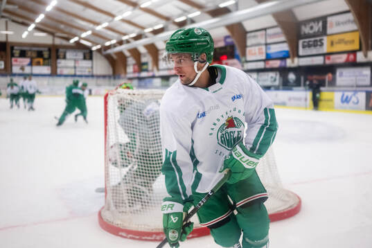 Daniel Zaar