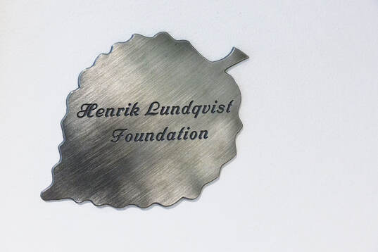 Henrik Lundqvist foundation  på Drottning Silvias