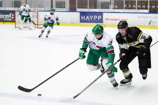 Rögles Brady Ferguson och Västerås Olle Norberg