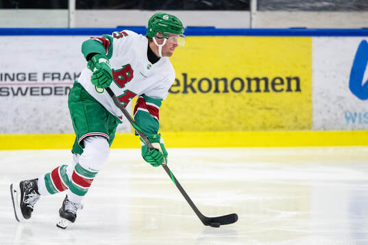 Rögles Ludvig Claesson