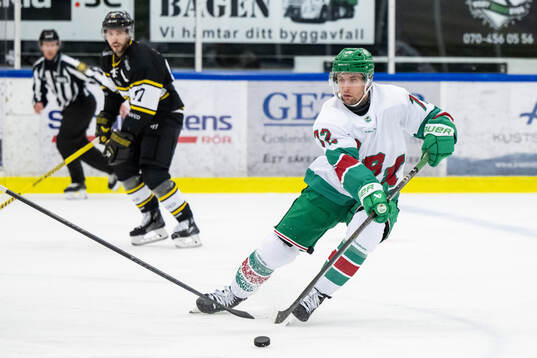 Rögles Daniel Zaar