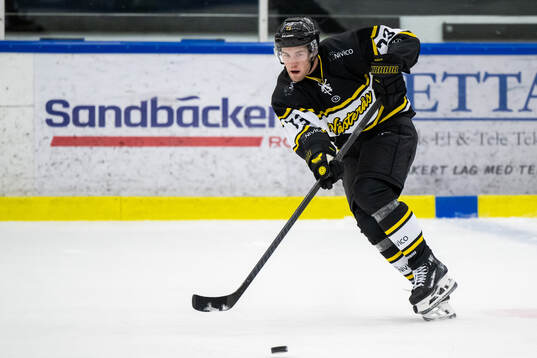 Västerås Anton Gradin