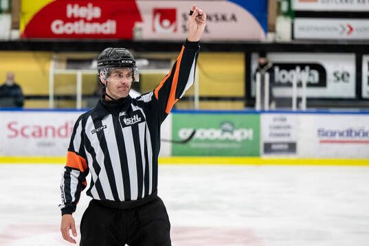 Domare Richard Magnusson
