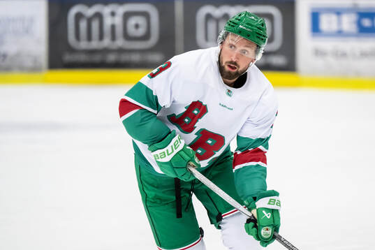 Rögles Michael Kapla