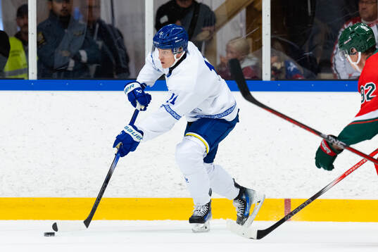 Leksands Martin Karlsson
