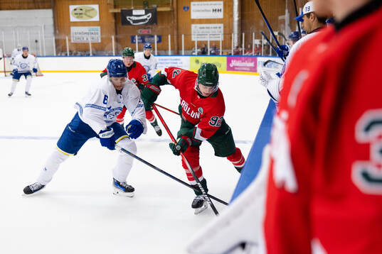 Leksands Alexander Lundqvist och Frölundas Filip Cederqvist