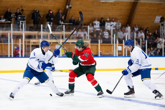 Leksands Alexander Lundqvist och Frölundas David Edstrom