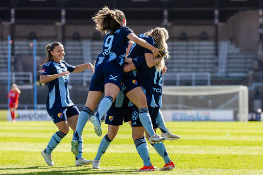Djurgårdens spelare jublar