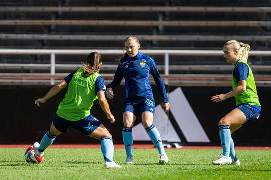Djurgårdens spelare