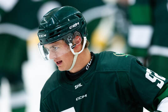 Färjestads Lucas Forsell