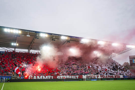 Spectators in the stands