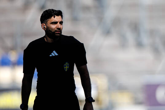 Domare George Jansizian