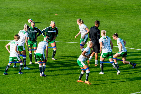 Hammarbys spelare