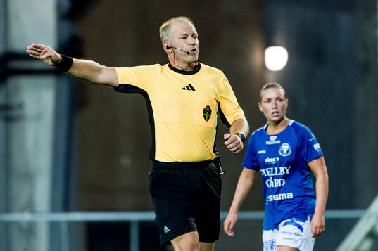 Domare Niklas Olsson