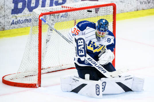 HV71s målvakt Olof Glifford
