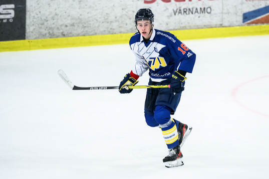 HV71s Eric Nordmark