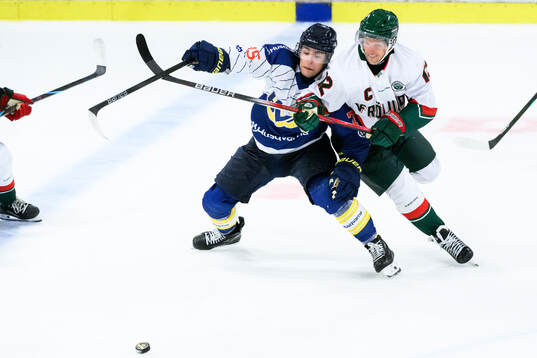 HV71s Radan Lenc och Frölundas Max Friberg